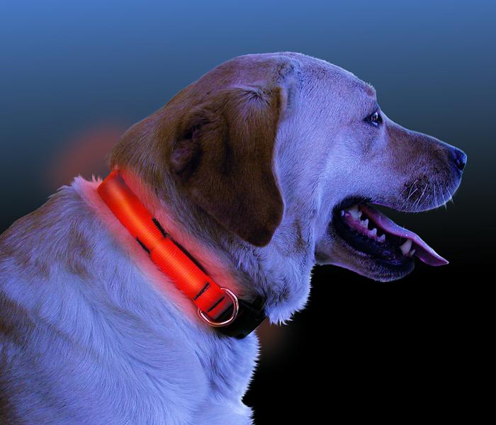 Светящийся ошейник для собак, светодиодный LED, зелёный, размер L см