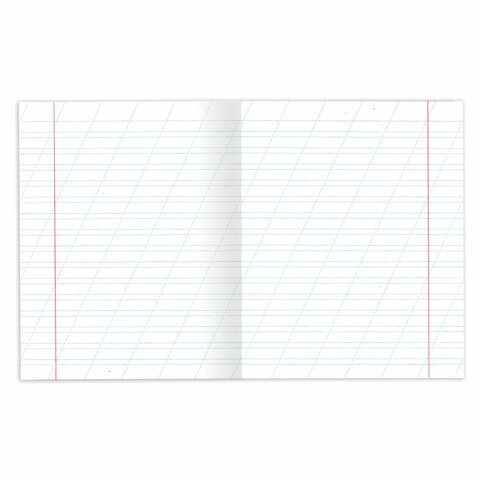 Тетради ДЭК 12 л. КОМПЛЕКТ 20 шт. с ЗЕЛЁНОЙ обложкой, ЮНЛАНДИЯ, косая линия, 106743