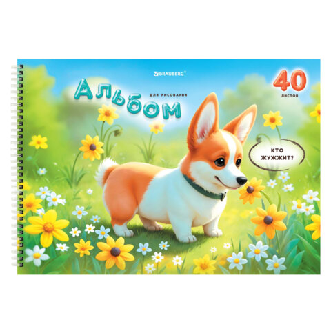 Альбомы для рисования ДЭК, А4, 40 л., КОМПЛЕКТ 2 шт., гребень, глянцевый лак, BRAUBERG, 200х290 мм, "Корги", 107739