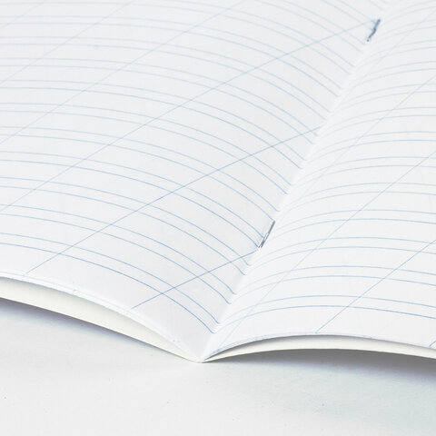 Тетради ДЭК 12 л. КОМПЛЕКТ 10 шт. BRAUBERG КЛАССИКА, косая линия, обложка картон, ЗЕЛЕНАЯ, 107061