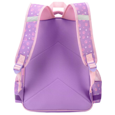 Рюкзак ПИФАГОР SCHOOL, 1 отделение, 3 кармана, "Observer cat", 38x28х14 см, 274437