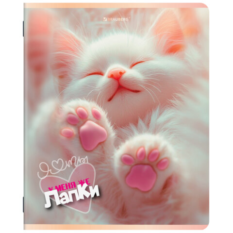 Тетради ДЭК А5 48 л. КОМПЛЕКТ 5 шт. BRAUBERG, скоба, клетка, SoftTouch, "ЛАПКИ", 404946