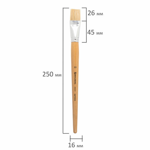 Кисть BRAUBERG, щетина, плоская, № 22, 200207