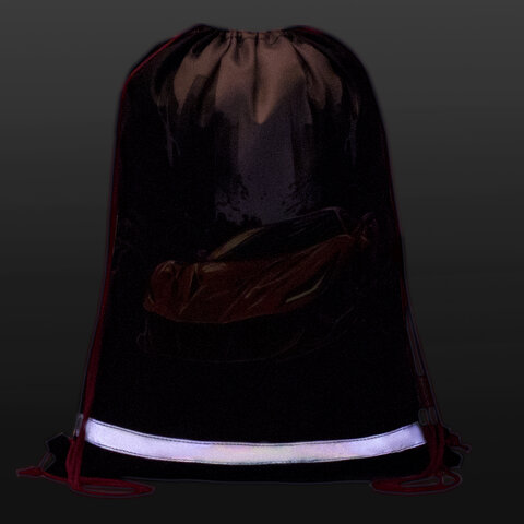 Мешок для обуви BRAUBERG KIDS, светоотражающая полоса, 46х36 см, "Red car", 272392