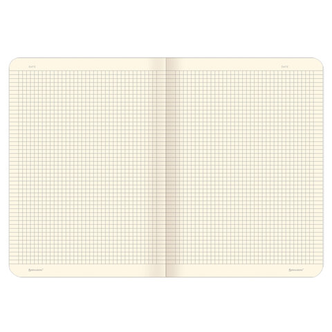 Тетрадь 60 л. в клетку обложка SoftTouch, бежевая бумага 70 г/м2, сшивка, В5 (179х250 мм), FOXY, BRAUBERG, 403815