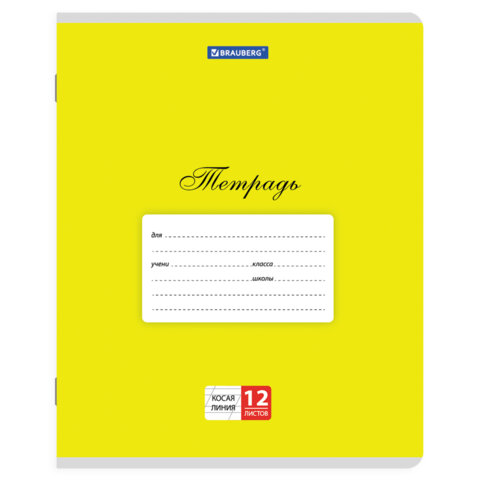 Тетради ДЭК 12 л. КОМПЛЕКТ 20 шт. BRAUBERG КЛАССИКА, косая линия, обложка картон, АССОРТИ, 107072