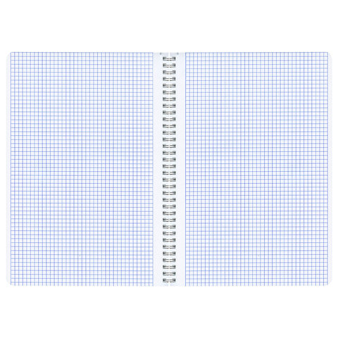 Тетради ДЭК А4 96 л. КОМПЛЕКТ 2 шт. BRAUBERG гребень, клетка, глянцевый лак, ЦВЕТЫ, 404881