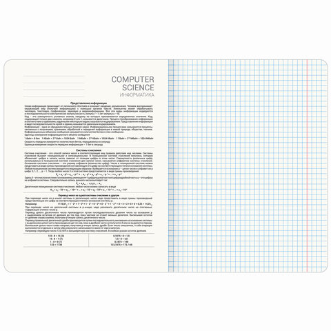 Тетрадь предметная "ANIME GIRLS" 48 л., матовая ламинация, ИНФОРМАТИКА, клетка, подсказ, BRAUBERG, 404752