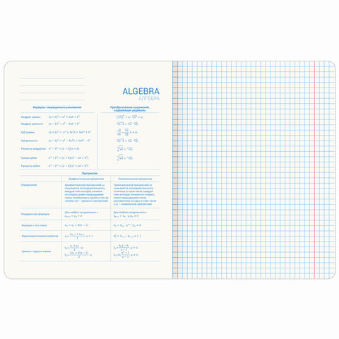 Тетради предметные со справочным материалом, КОМПЛЕКТ 10 ПРЕДМЕТОВ, 48 л., TWIN лак, BRAUBERG, "ORIGINAL", 404328