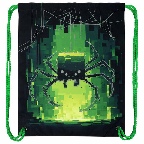 Мешок для обуви BRAUBERG PREMIUM, карман, подкладка, светоотражайка, 43х33 см, "Digital spider", 273444