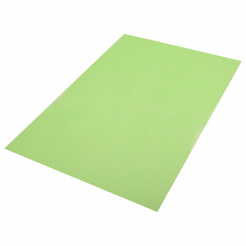 Коврики универсальные 6 шт., 30х45 см, для холодильника, полок, сервировки, салатовый, DASWERK, 609605