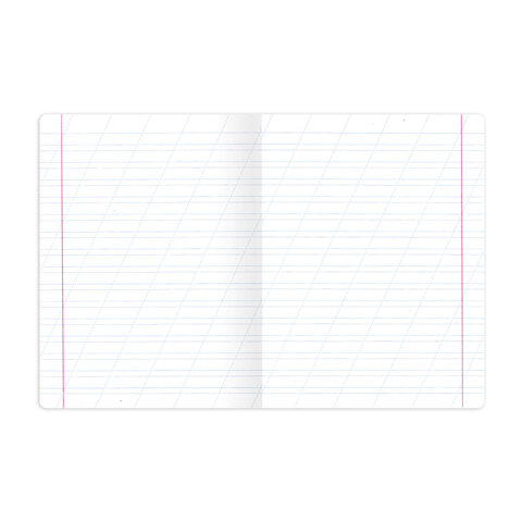 Тетради ДЭК 12 л. КОМПЛЕКТ 20 шт. BRAUBERG "КЛАССИКА NEW", косая линия, обложка картон, ЗЕЛЕНАЯ, 880050