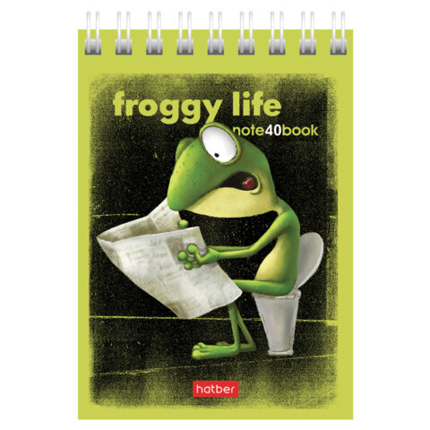 Блокнот МАЛЫЙ ФОРМАТ А7, 40 л., гребень, картон, клетка, HATBER, "Лягух Кир", 081184, 40Б7В1гр