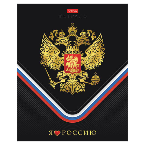 Тетрадь А5 48 л., HATBER, скоба, клетка, матовая ламинация, 3D-фольга, 3D-лак, Россия (микс), 093210, 48Т5лофлВ1