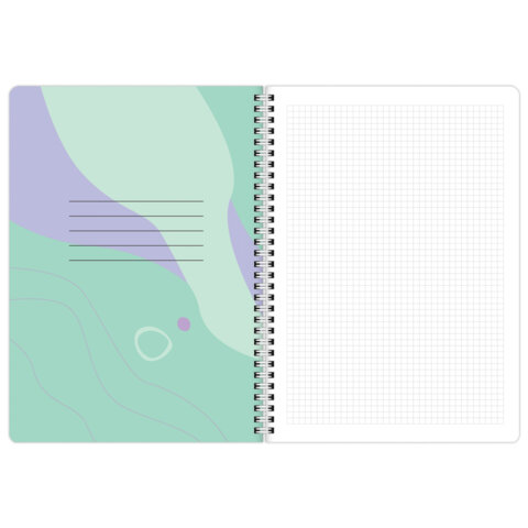 Тетради ДЭК А4 96 л. КОМПЛЕКТ 2 шт., BRAUBERG, гребень, клетка, 80 г/м2, SoftTouch, "Minimal", 405585