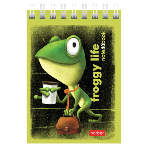 Блокнот МАЛЫЙ ФОРМАТ А7, 40 л., гребень, картон, клетка, HATBER, "Лягух Кир", 081184, 40Б7В1гр