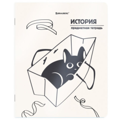 Тетрадь предметная КОТ-НЕПОСЕДА 48 л., пластиковая обложка, ИСТОРИЯ, клетка, подсказ, BRAUBERG, 405534