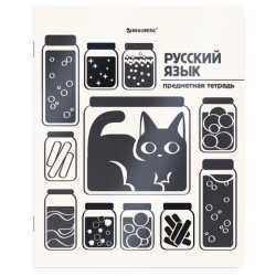 Тетрадь предметная КОТ-НЕПОСЕДА 48 л., пластиковая обложка, РУССКИЙ ЯЗЫК, линия, подсказ, BRAUBERG, 405536