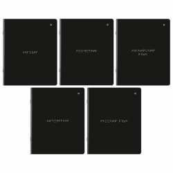 Тетради предметные, КОМПЛЕКТ 5 ПРЕДМЕТОВ, 48 л., матовая ламинация, BRAUBERG "MINIMAL", 405185