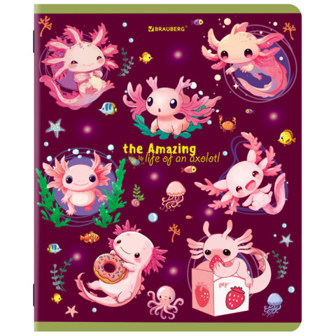 Тетради ДЭК А5 48 л. КОМПЛЕКТ 5 шт. BRAUBERG, скоба, клетка, TWIN-лак, "AMAZING ANIMALS", 404942