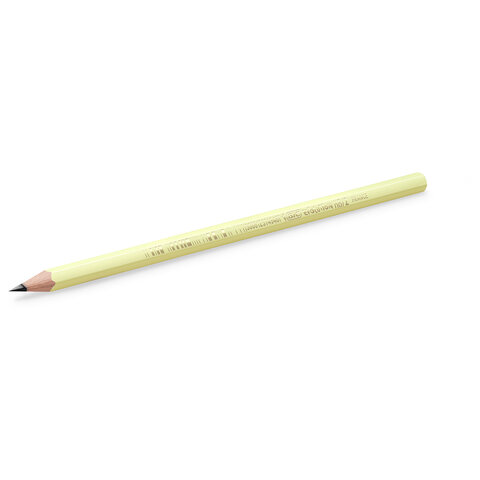 Карандаш чернографитный BIC, 1 шт., "Evolution Pastel", HB, без ластика, корпус ассорти, 518307