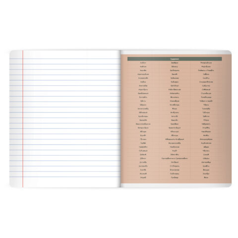 Тетрадь предметная MonoPastel 48л, пластиковая обложка, РУССКИЙ ЯЗЫК, линия, подсказ, BRAUBERG, 405510