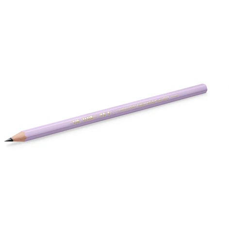 Карандаш чернографитный BIC, 1 шт., "Evolution Pastel", HB, без ластика, корпус ассорти, 518307