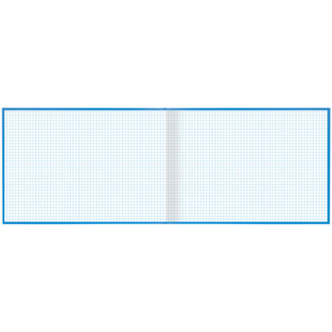 Книга учета 96 л., клетка, твердая, бумвинил, блок офсет, альбомный, А4 (203х290 мм), BRAUBERG, 130074