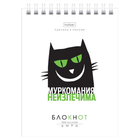 Блокнот МАЛЫЙ ФОРМАТ А6, 40 л., гребень, картон, клетка, HATBER, "Муркомания", 090640, 40Б6В1гр