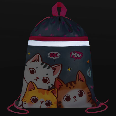 Мешок для обуви BRAUBERG, с петлей, светоотражающая полоса, 2 отделения, 46х36 см, "Hi there", 273449