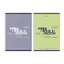 Тетради ДЭК А4 96 л. КОМПЛЕКТ 2 шт. BRAUBERG гребень, клетка, TWIN-лак, "Моноколор_2", 404876