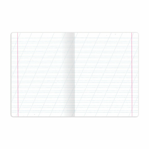 Тетради ДЭК 12 л. КОМПЛЕКТ 10 шт. BRAUBERG КЛАССИКА, косая линия, обложка картон, ЗЕЛЕНАЯ, 107061