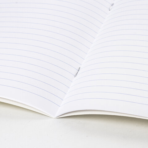 Тетради ДЭК 12 л. КОМПЛЕКТ 20 шт. BRAUBERG "КЛАССИКА NEW", линия, обложка картон, ЗЕЛЕНАЯ, 880053