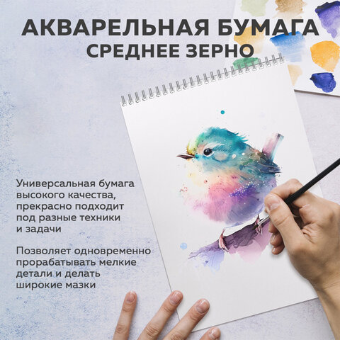 Бумага для акварели БОЛЬШАЯ А3 в папке, 15 листов, 300 г/м2, среднее зерно, BRAUBERG ART CLASSIC, 116354