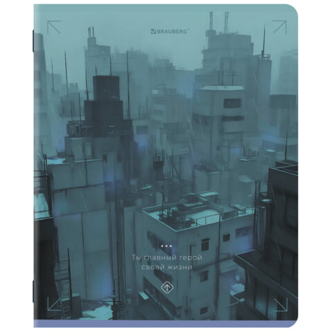 Тетради ДЭК А5 48 л. КОМПЛЕКТ 5 шт. BRAUBERG скоба, клетка, матовая ламинация, КРЫШИ, 404941