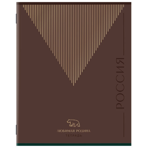 Тетрадь А5, 48 л., STAFF, скоба, линия, офсет №2 ЭКОНОМ, обложка картон, ТЕМНАЯ, 405629