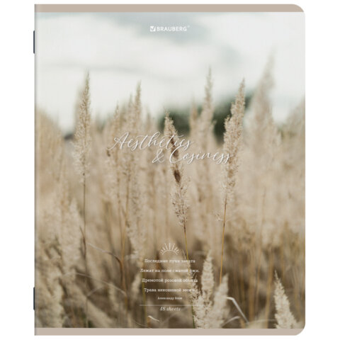 Тетради ДЭК А5 48 л. КОМПЛЕКТ 5 шт. BRAUBERG, скоба, клетка, SoftTouch, "ESTHETICS", 404929