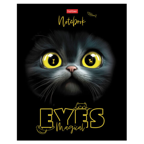 Тетрадь А5 48 л., HATBER скоба, клетка, матовая ламинация, 3D-лак, "Волшебные глаза" (микс), 088313, 48Т5лолВ1