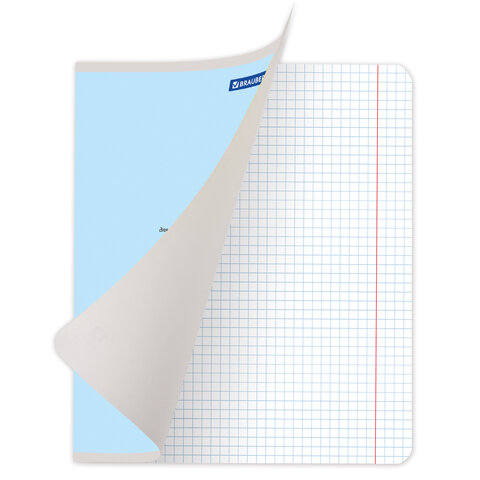 Тетради ДЭК 12 л. КОМПЛЕКТ 20 шт. BRAUBERG КЛАССИКА NEW, клетка, обложка картон, СИНЯЯ, 880049