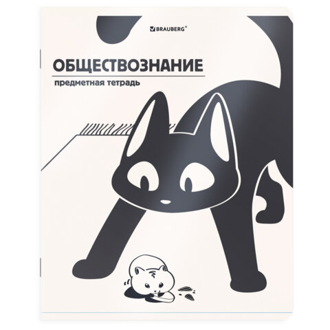 Тетради предметные, КОМПЛЕКТ 12 ПРЕДМЕТОВ 48 л., пластиковая обложка, BRAUBERG "КОТ-НЕПОСЕДА", 405542