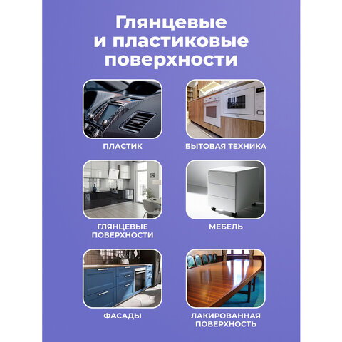 Универсальный пенный очиститель 280г BRANDFREE для пластика стёкол и различных поверх