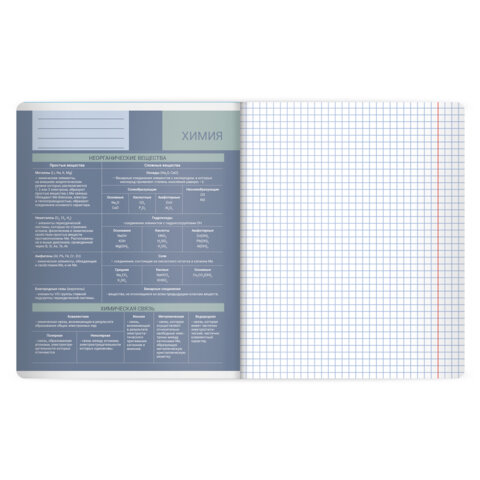 Тетрадь предметная MonoPastel 48л, пластиковая обложка, ХИМИЯ, клетка, подсказ, BRAUBERG, 405512