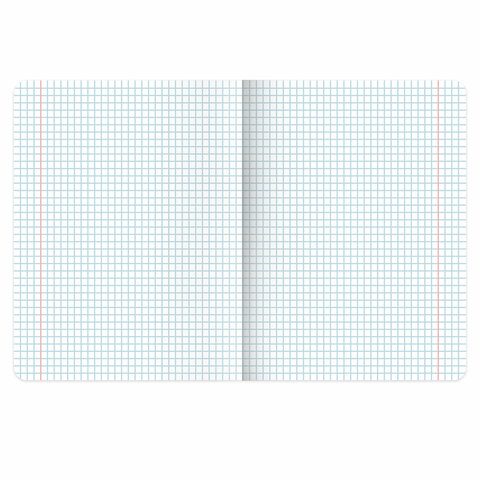 Тетради ДЭК 18 л. КОМПЛЕКТ 10 шт., BRAUBERG, клетка, обложка картон, Котики, 106757