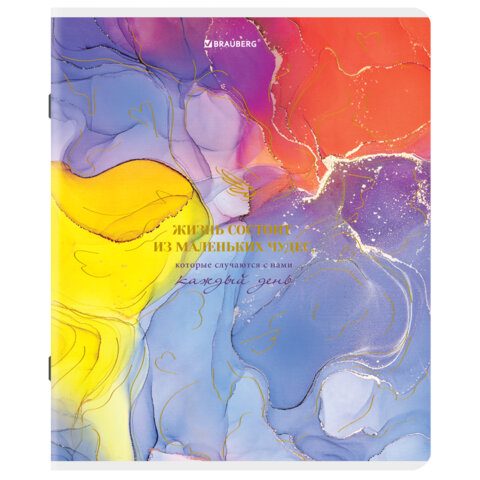 Тетради ДЭК А5 96 л. КОМПЛЕКТ 5 шт., BRAUBERG скоба, клетка, SoftTouch, фольга, "Яркие Краски", 404691