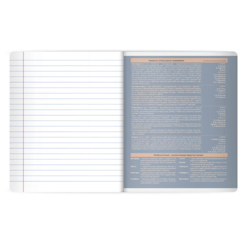 Тетрадь предметная MonoPastel 48л, пластиковая обложка, ЛИТЕРАТУРА, линия, подсказ, BRAUBERG, 405509