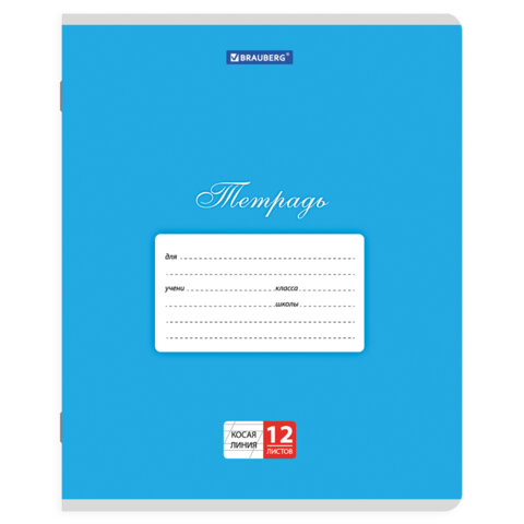 Тетради ДЭК 12 л. КОМПЛЕКТ 20 шт. BRAUBERG КЛАССИКА, косая линия, обложка картон, АССОРТИ, 107072