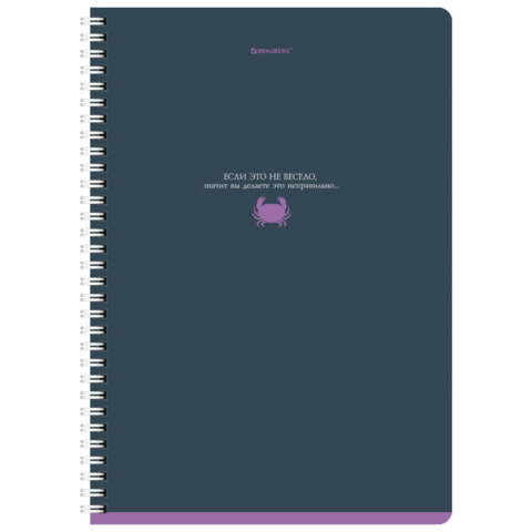 Тетради ДЭК А4 96 л. КОМПЛЕКТ 2 шт. BRAUBERG гребень, клетка, Soft Touch, MONOCOLOR, 404647