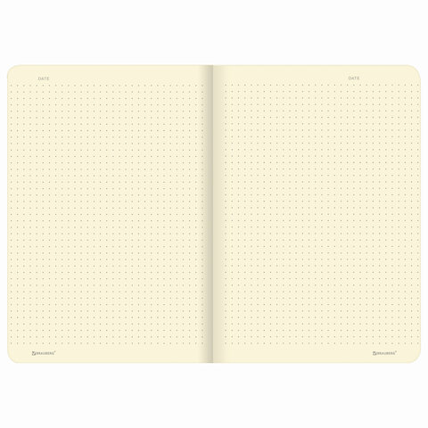 Тетрадь 48 л. в точку обложка кожзам SoftTouch, сшивка, A5 (147х210мм), РОЗОВЫЙ, BRAUBERG RAINBOW, 403882