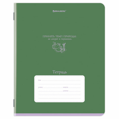 Тетрадь 24 л. BRAUBERG клетка, обложка картон, PHRASES, 107304
