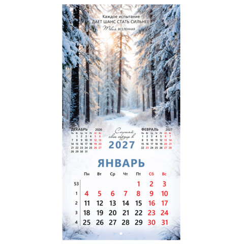 Календарь настенный перекидной 2027 г., BRAUBERG, 12 листов, 28,5х28,5 см, "Вселенная", 118412